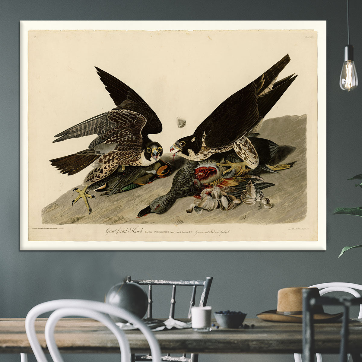 Great footed Hawk by Audubon Canvas Print or Poster - Canvas Art Rocks - 3