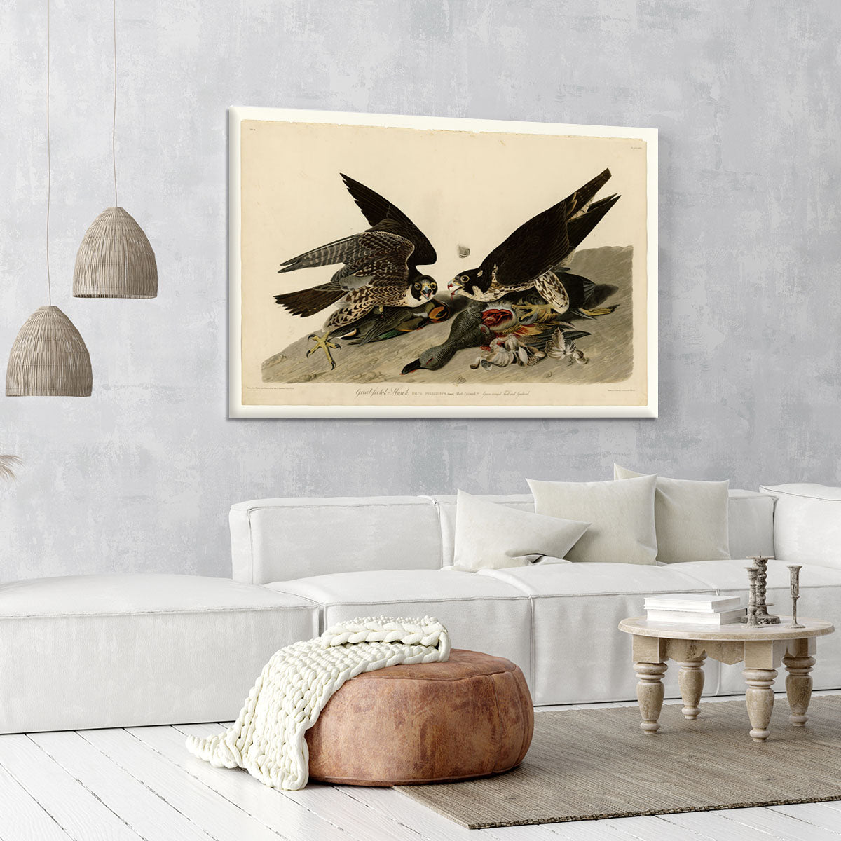 Great footed Hawk by Audubon Canvas Print or Poster - Canvas Art Rocks - 6