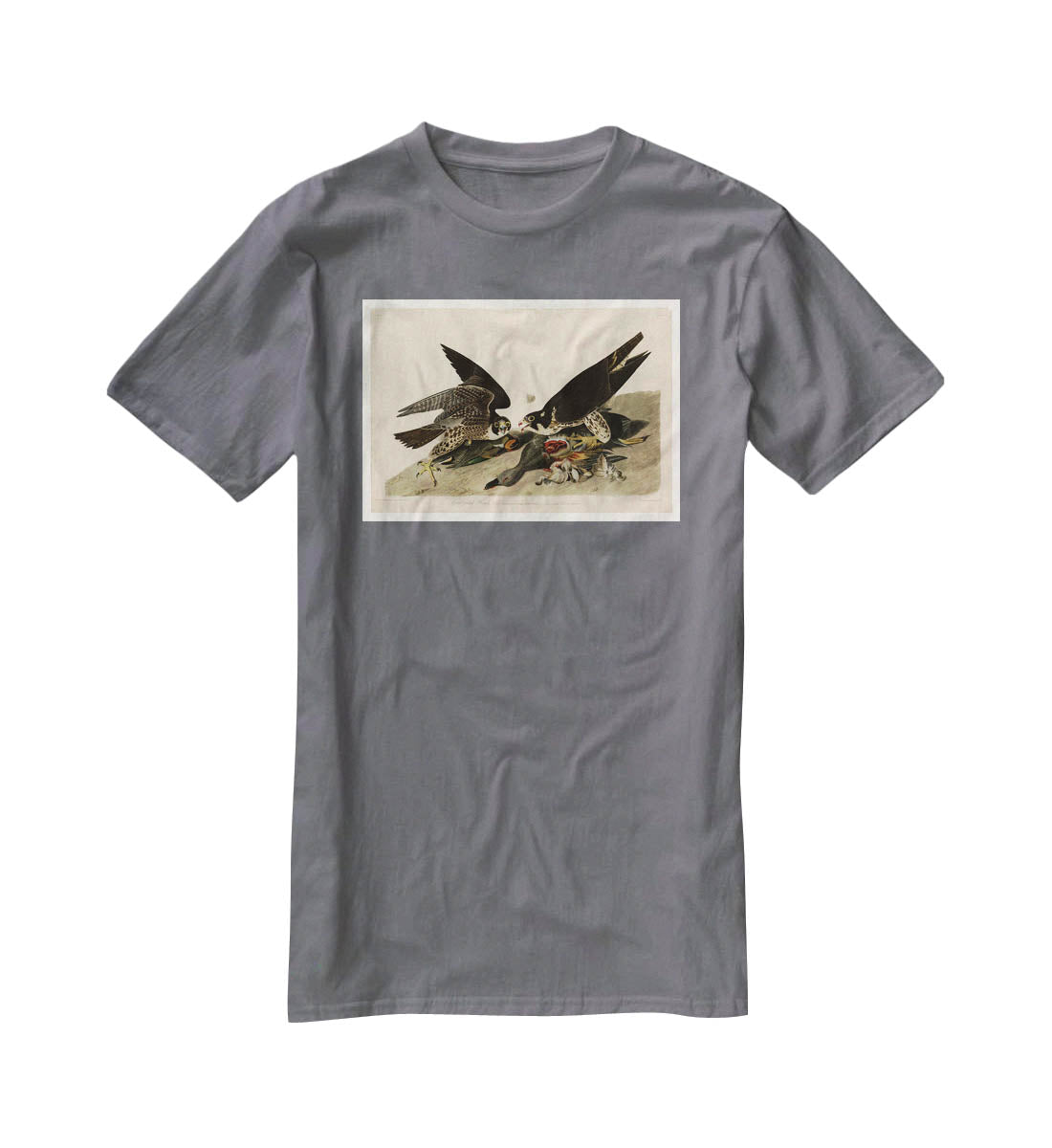 Great footed Hawk by Audubon T-Shirt - Canvas Art Rocks - 3