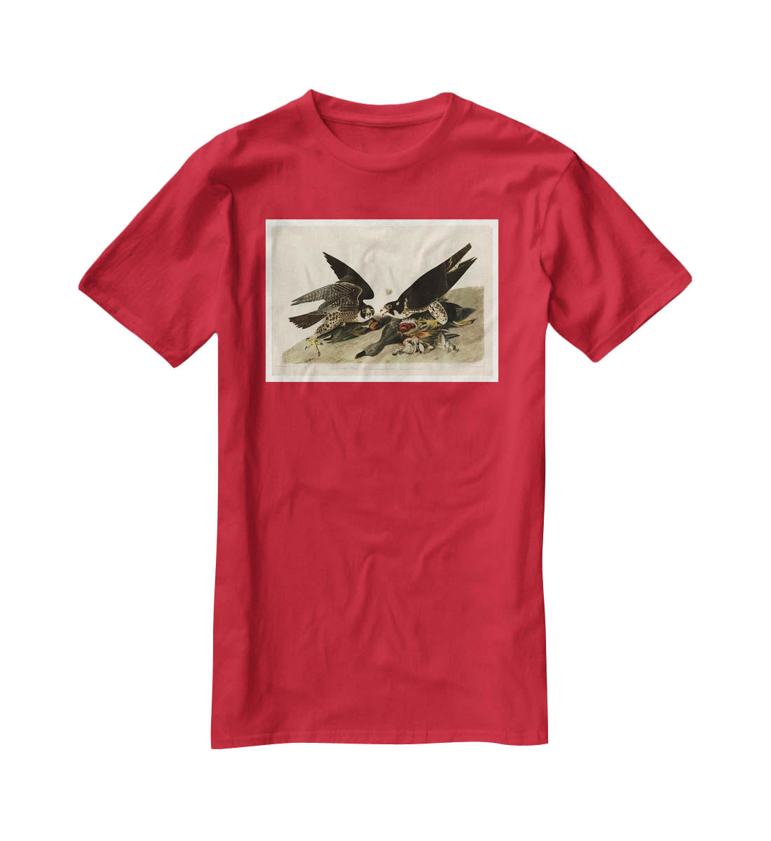 Great footed Hawk by Audubon T-Shirt - Canvas Art Rocks - 4