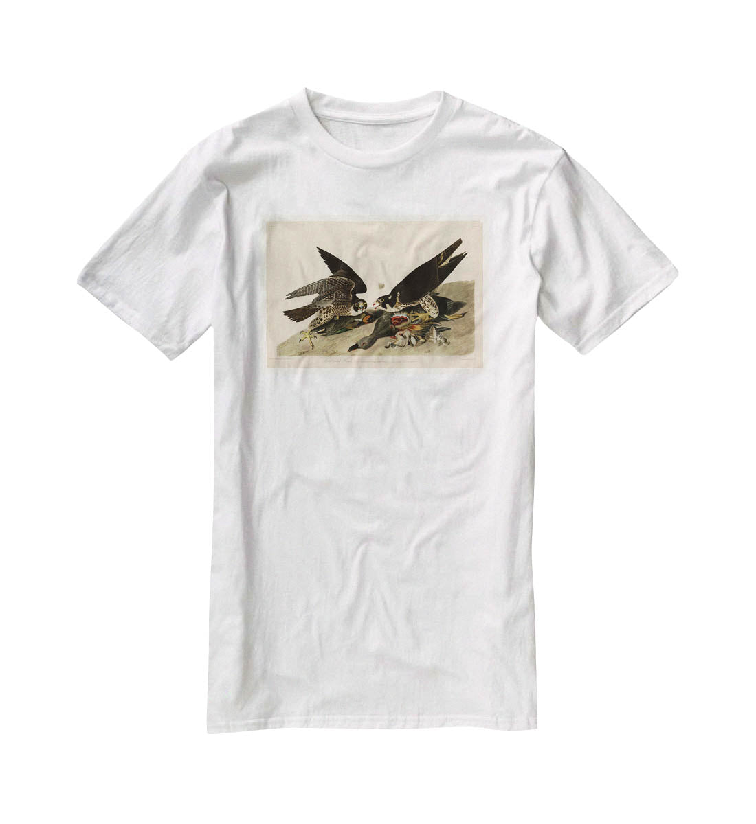 Great footed Hawk by Audubon T-Shirt - Canvas Art Rocks - 5