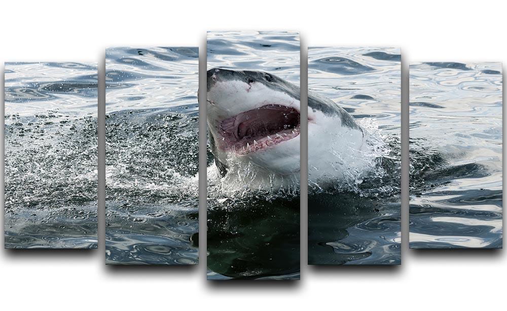 Great white shark 5 Split Panel Canvas  - Canvas Art Rocks - 1