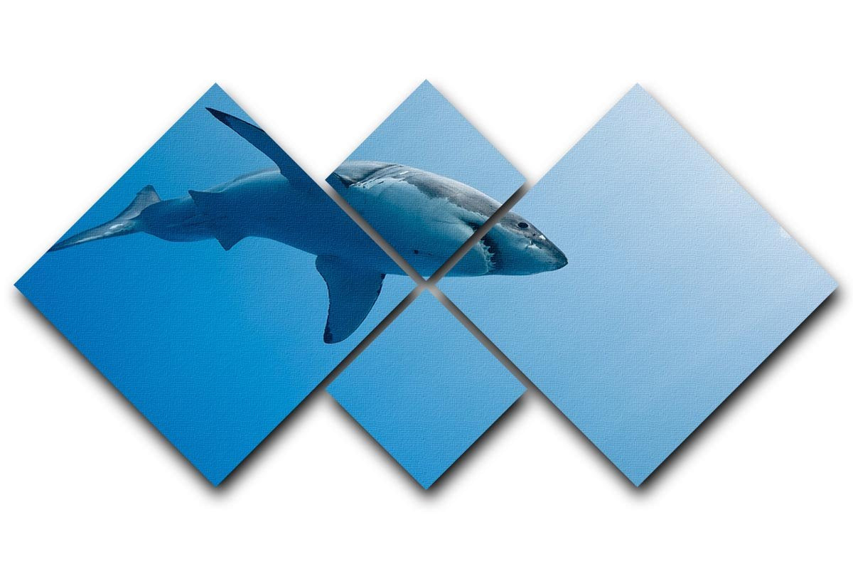 Great white shark Guadalupe Island 4 Square Multi Panel Canvas  - Canvas Art Rocks - 1