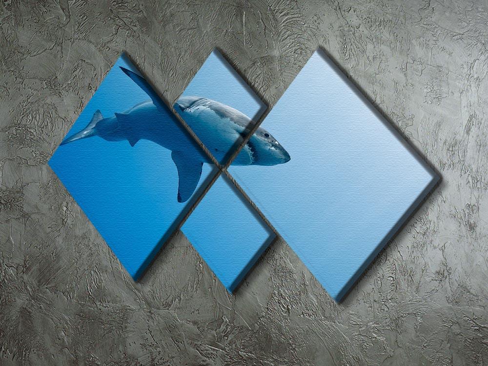 Great white shark Guadalupe Island 4 Square Multi Panel Canvas  - Canvas Art Rocks - 2