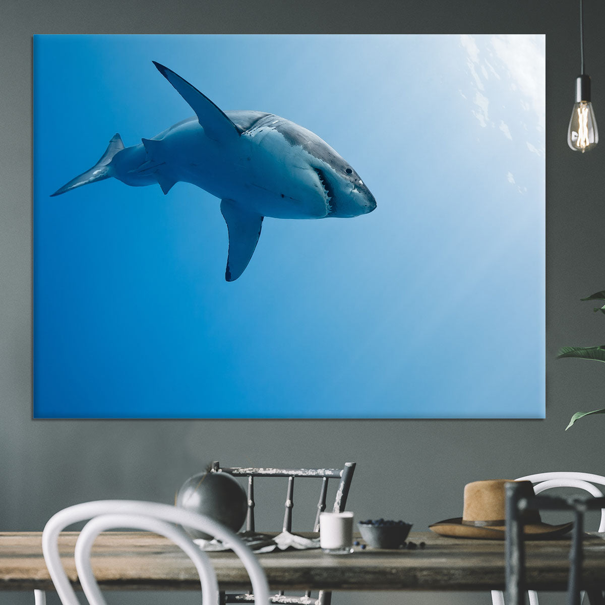 Great white shark Guadalupe Island Canvas Print or Poster - Canvas Art Rocks - 3