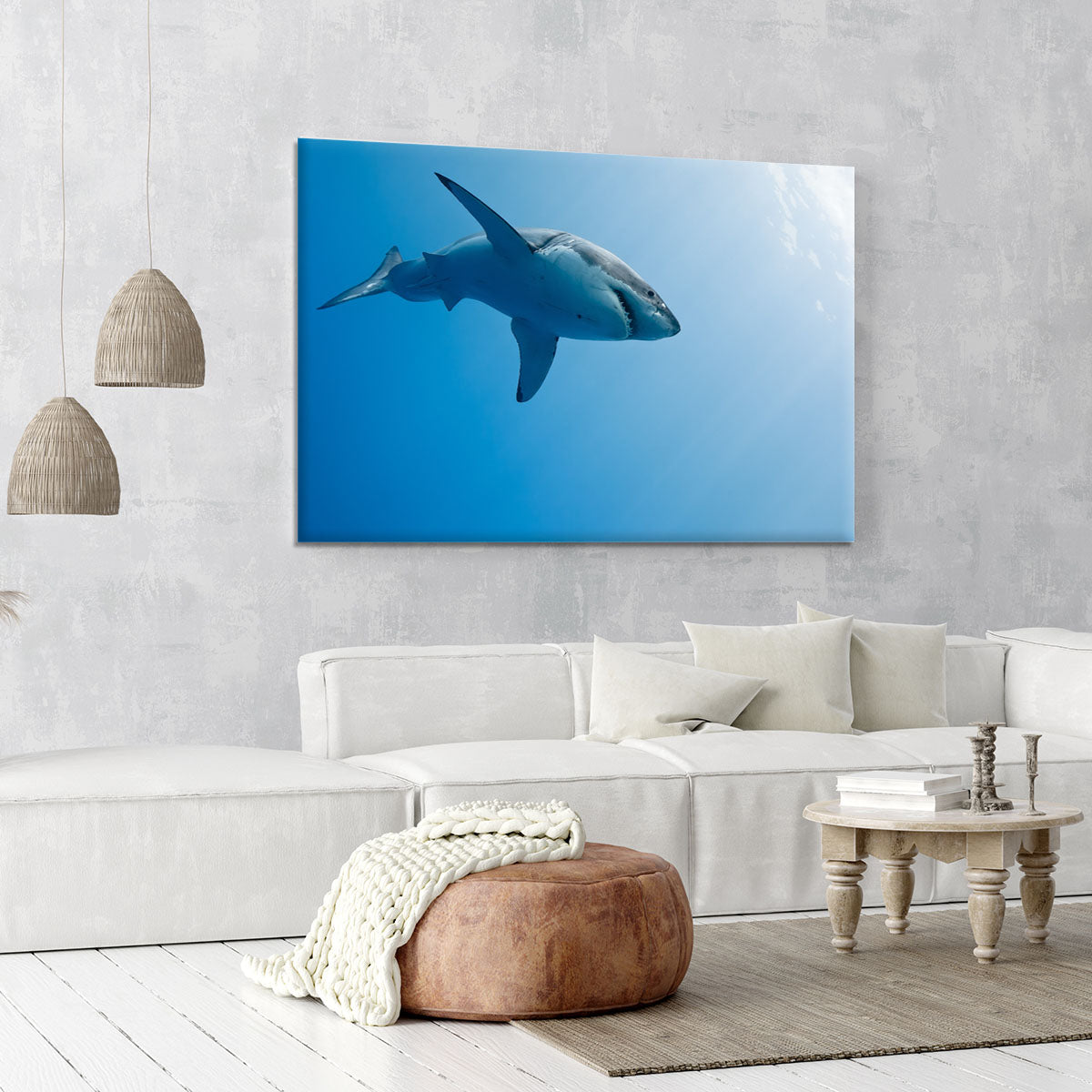 Great white shark Guadalupe Island Canvas Print or Poster - Canvas Art Rocks - 6