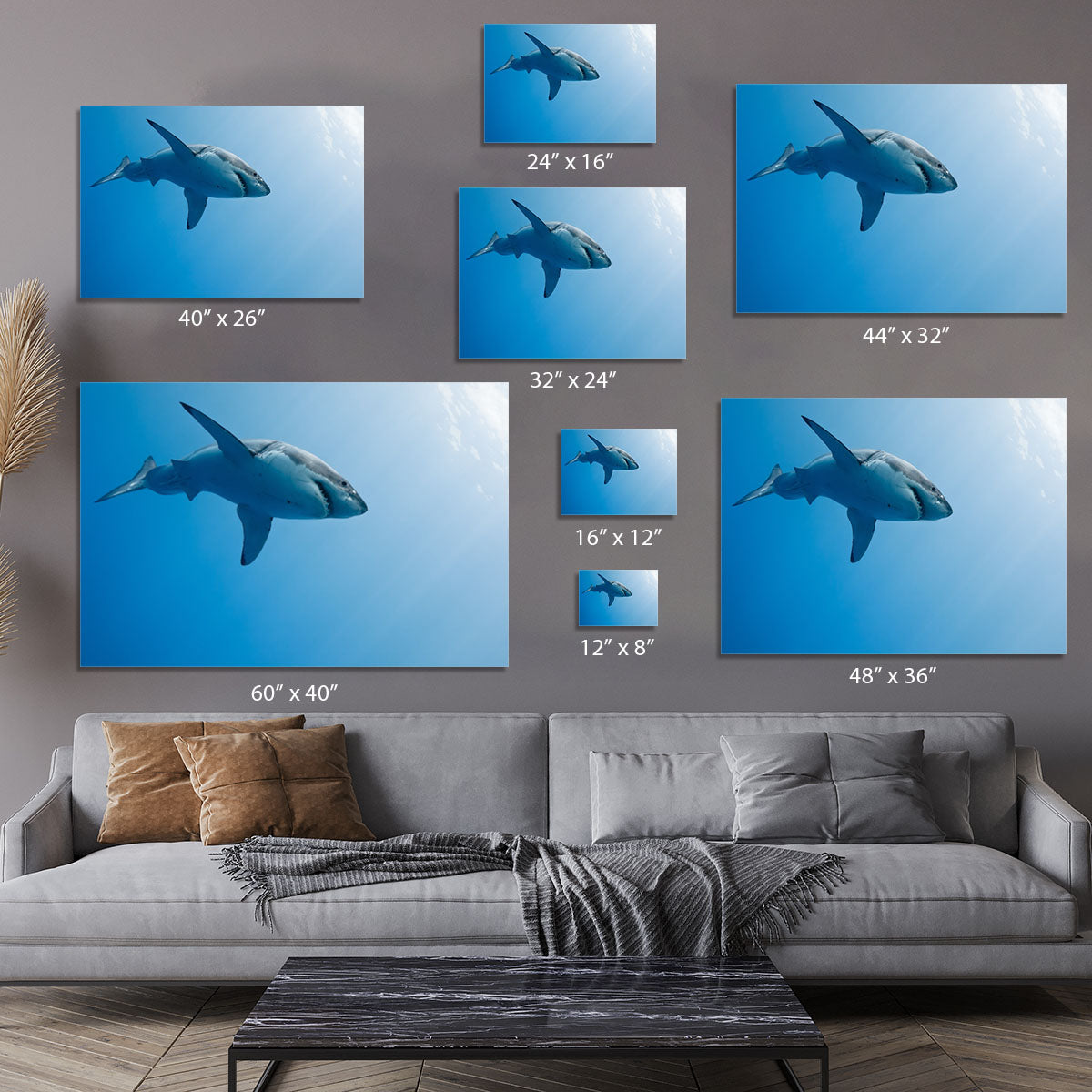 Great white shark Guadalupe Island Canvas Print or Poster - Canvas Art Rocks - 7