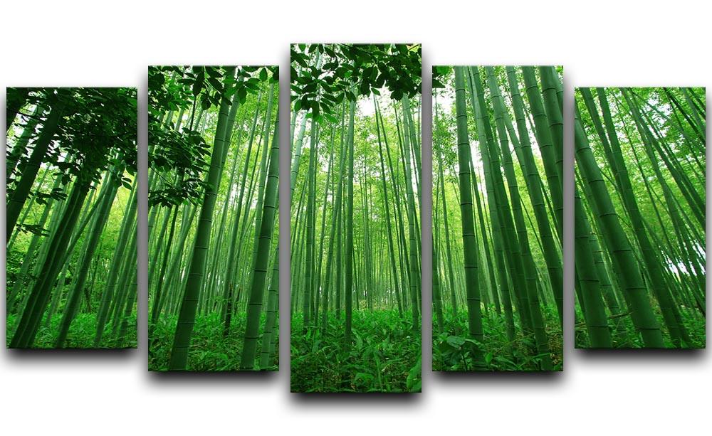 Green bamboo forest 5 Split Panel Canvas  - Canvas Art Rocks - 1
