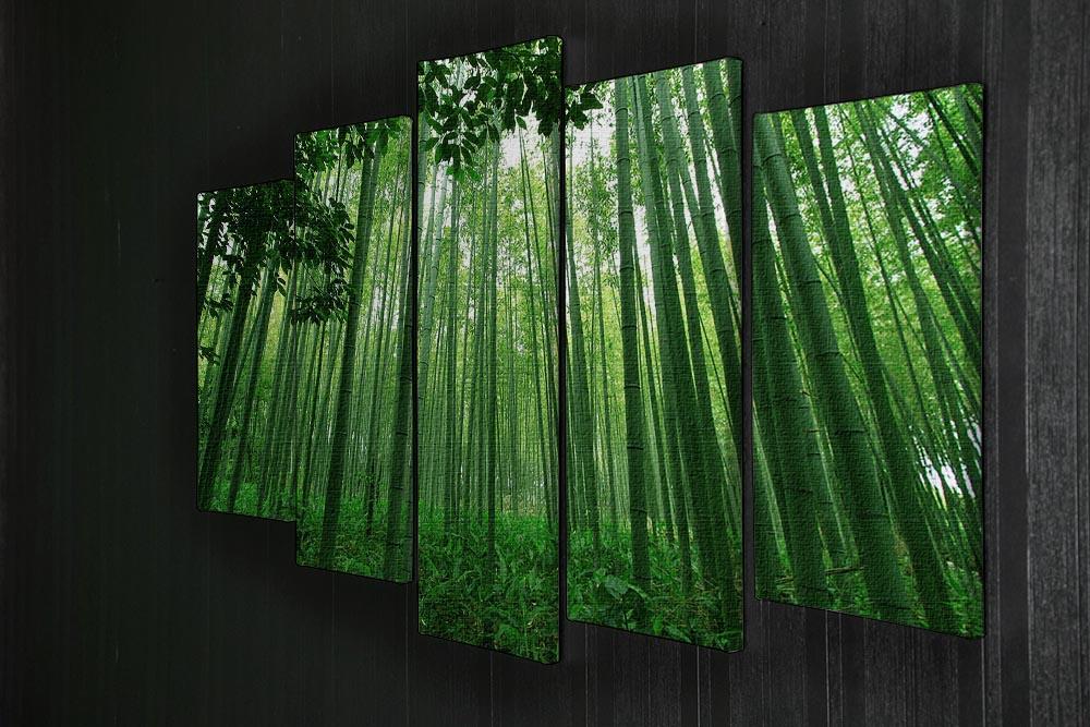 Green bamboo forest 5 Split Panel Canvas  - Canvas Art Rocks - 2