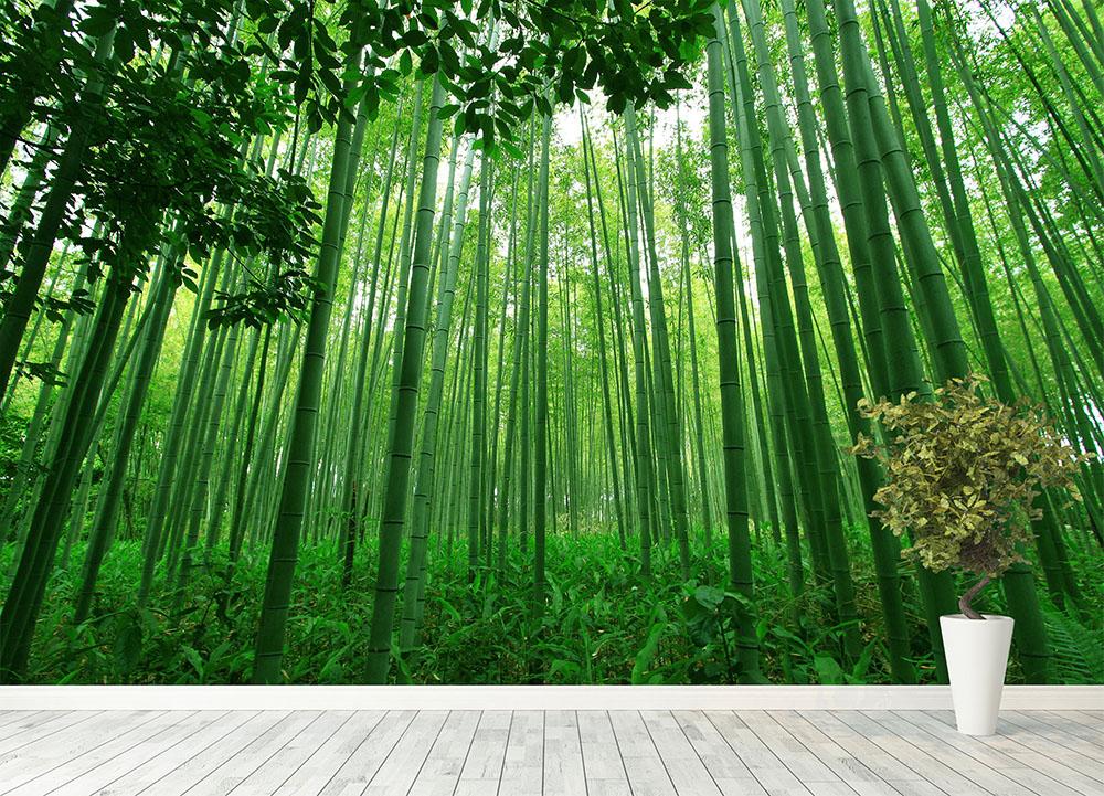 Green Bamboo Background Texture 04 by llexandro on DeviantArt