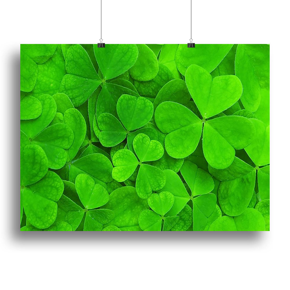 Green clover leaf Canvas Print or Poster - Canvas Art Rocks - 2