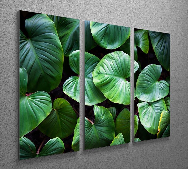 Green plant 3 Split Panel Canvas Print - Canvas Art Rocks - 2