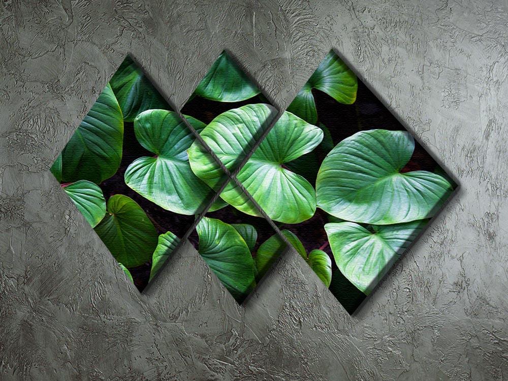 Green plant 4 Square Multi Panel Canvas  - Canvas Art Rocks - 2