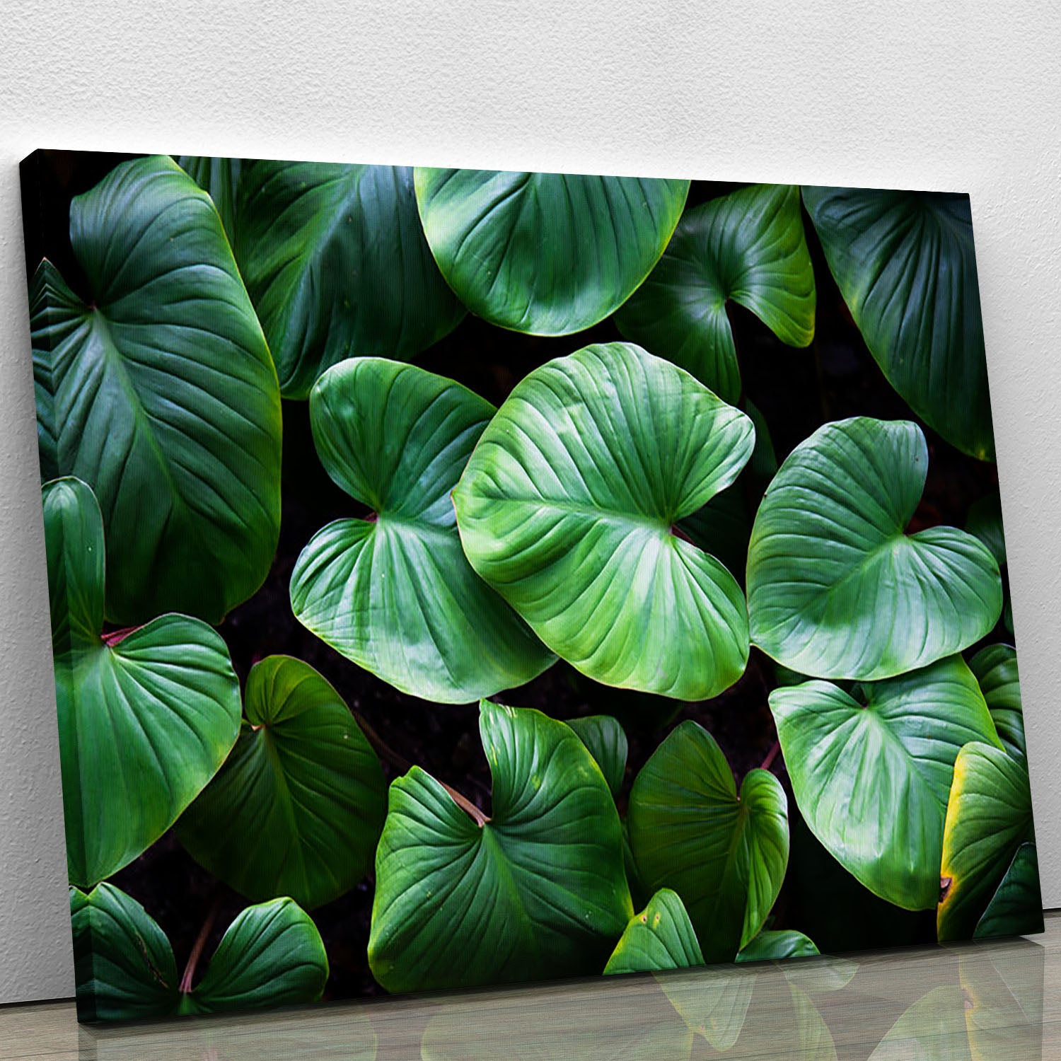 Green plant Canvas Print or Poster - Canvas Art Rocks - 1