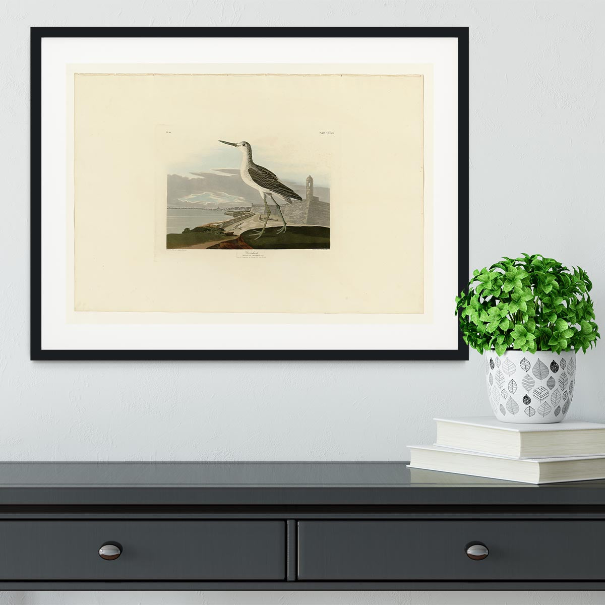 Greenshank by Audubon Framed Print - Canvas Art Rocks - 1