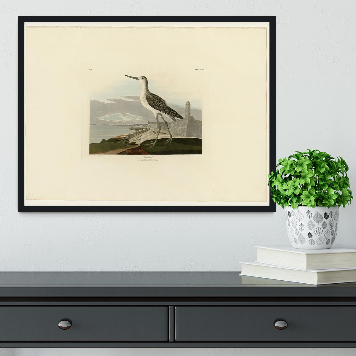 Greenshank by Audubon Framed Print - Canvas Art Rocks - 2