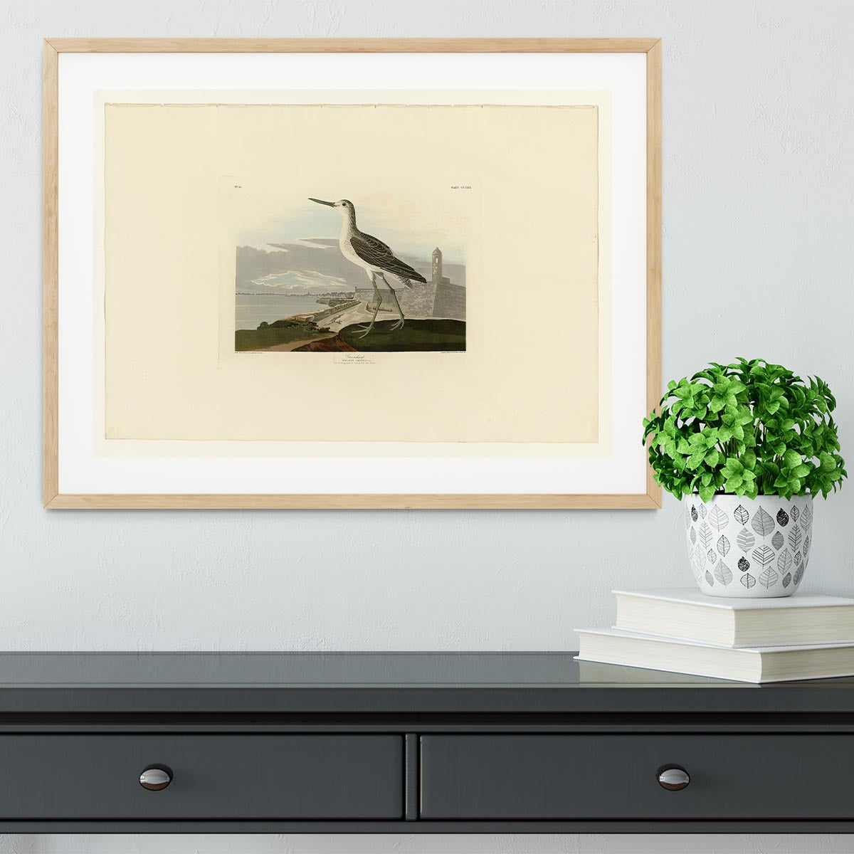 Greenshank by Audubon Framed Print - Canvas Art Rocks - 3