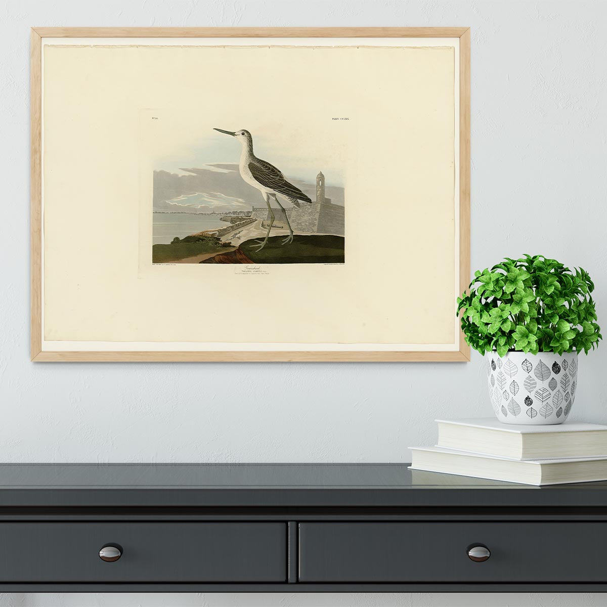 Greenshank by Audubon Framed Print - Canvas Art Rocks - 4