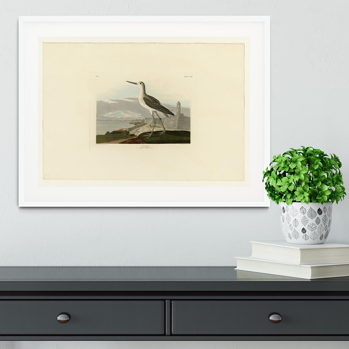 Greenshank by Audubon Framed Print - Canvas Art Rocks - 5