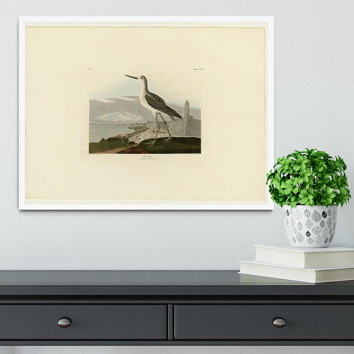 Greenshank by Audubon Framed Print - Canvas Art Rocks -6