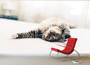 Grey cat lying on bed and stretching Wall Mural Wallpaper - Canvas Art Rocks - 2