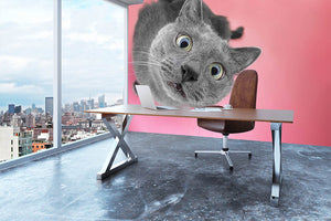 Grey cat sitting on the pink background Wall Mural Wallpaper - Canvas Art Rocks - 3