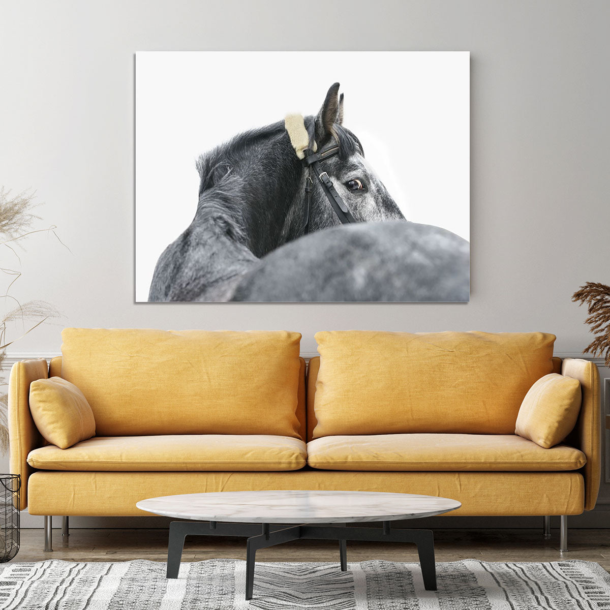 Grey horse isolated Canvas Print or Poster - Canvas Art Rocks - 4