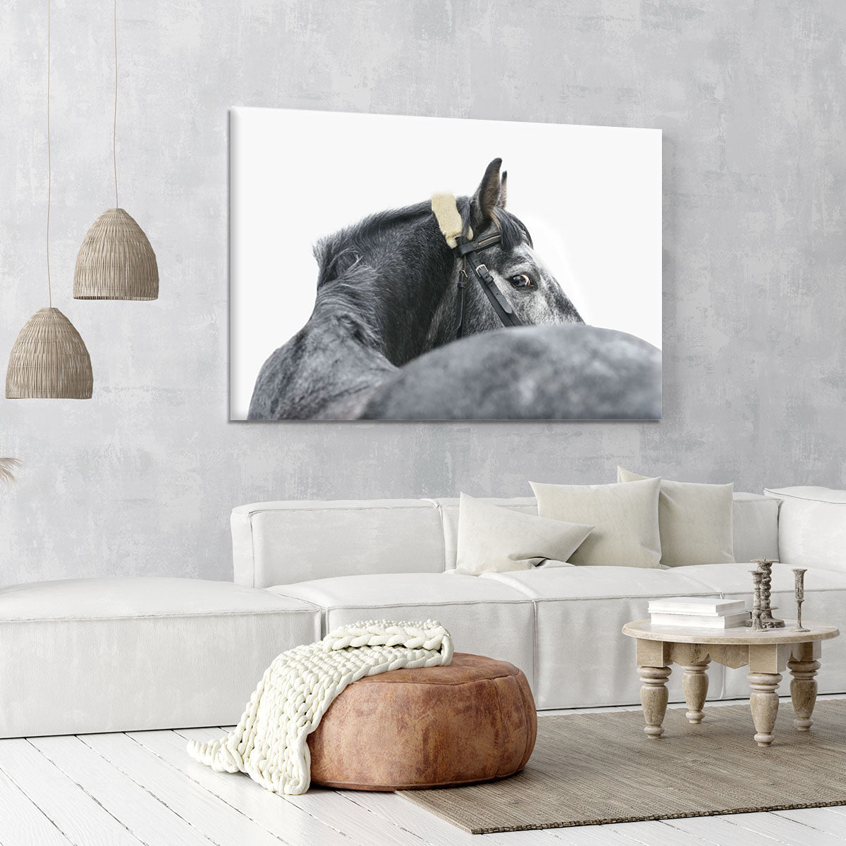 Grey horse isolated Canvas Print or Poster - Canvas Art Rocks - 6