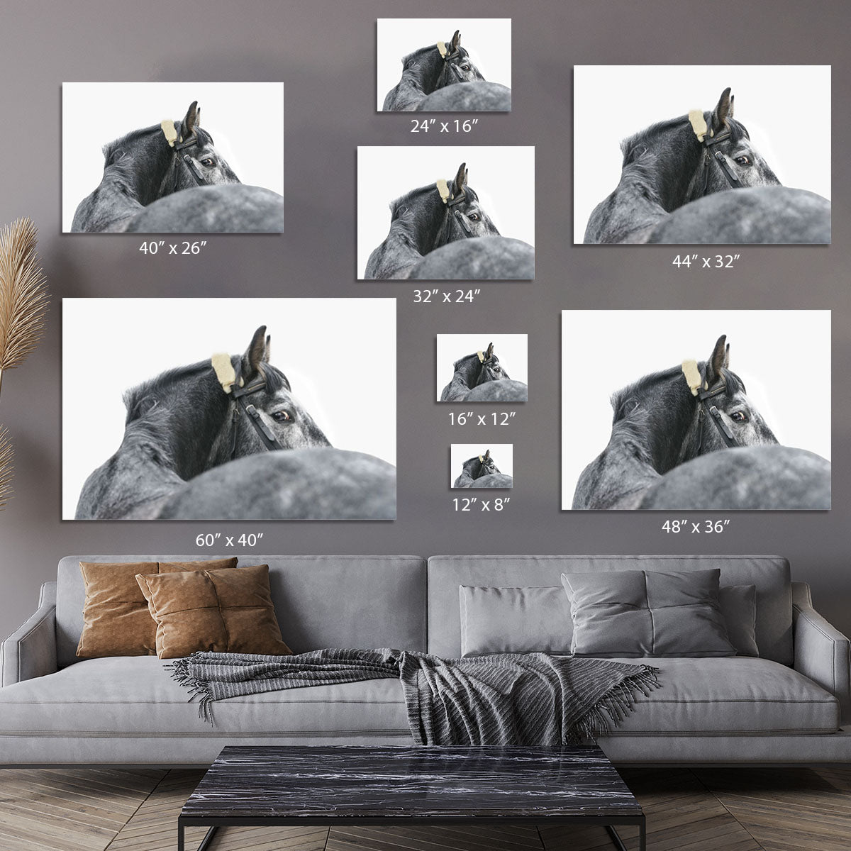 Grey horse isolated Canvas Print or Poster - Canvas Art Rocks - 7