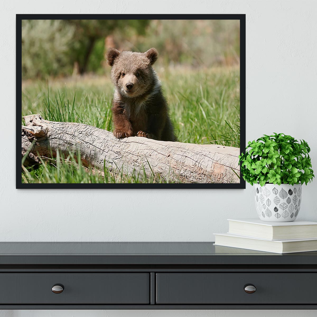 Grizzly bear cub Framed Print - Canvas Art Rocks - 2
