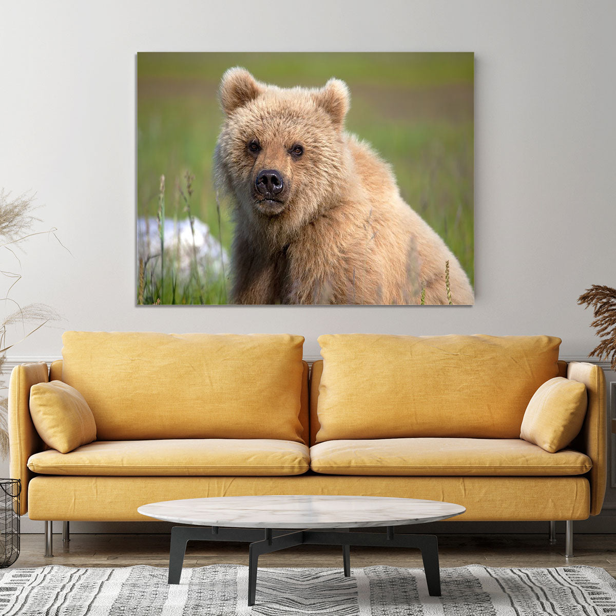Grizzly cub staring at the camera in Alaska. Canvas Print or Poster - Canvas Art Rocks - 4