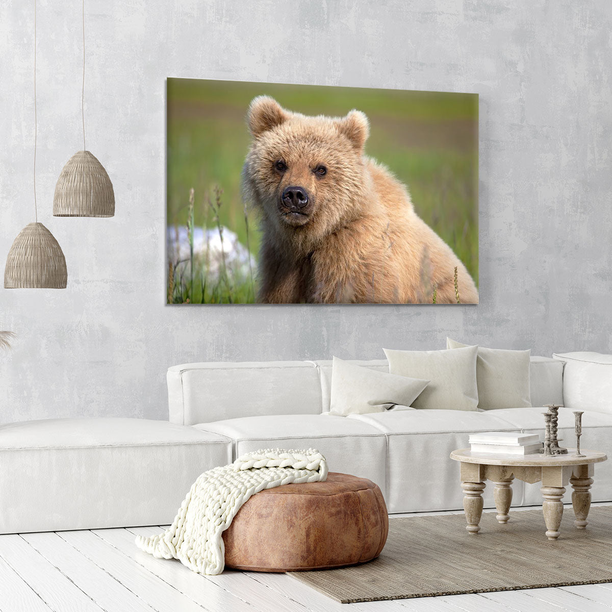 Grizzly cub staring at the camera in Alaska. Canvas Print or Poster - Canvas Art Rocks - 6