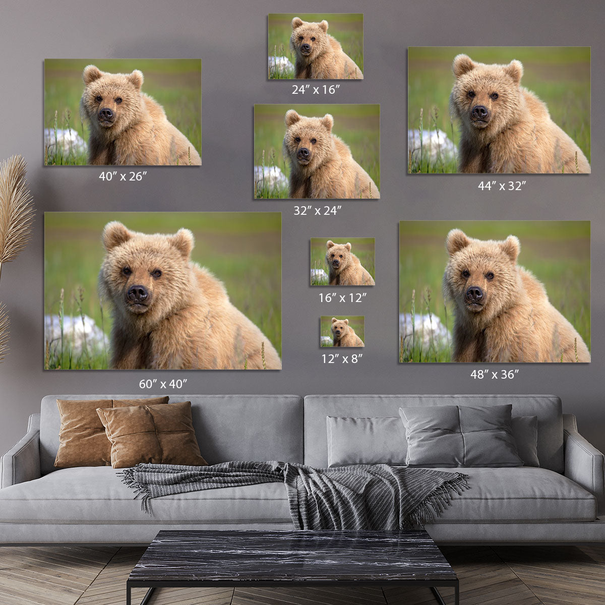 Grizzly cub staring at the camera in Alaska. Canvas Print or Poster - Canvas Art Rocks - 7