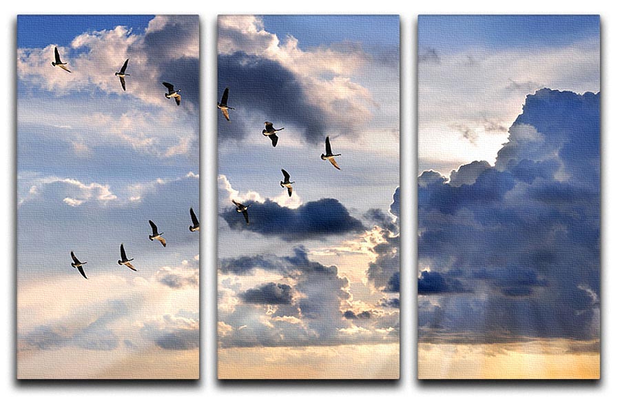 Group of Canadian geese flying in V-formation 3 Split Panel Canvas Print - Canvas Art Rocks - 1