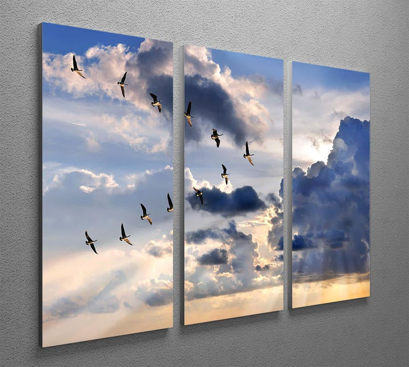 Group of Canadian geese flying in V-formation 3 Split Panel Canvas Print - Canvas Art Rocks - 2