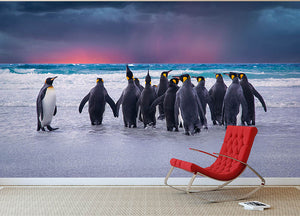 Group of King Penguins in the Falkland Islands Wall Mural Wallpaper - Canvas Art Rocks - 2