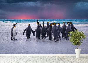 Group of King Penguins in the Falkland Islands Wall Mural Wallpaper - Canvas Art Rocks - 4