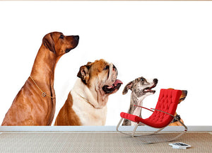 Group of dogs looking up Wall Mural Wallpaper - Canvas Art Rocks - 2