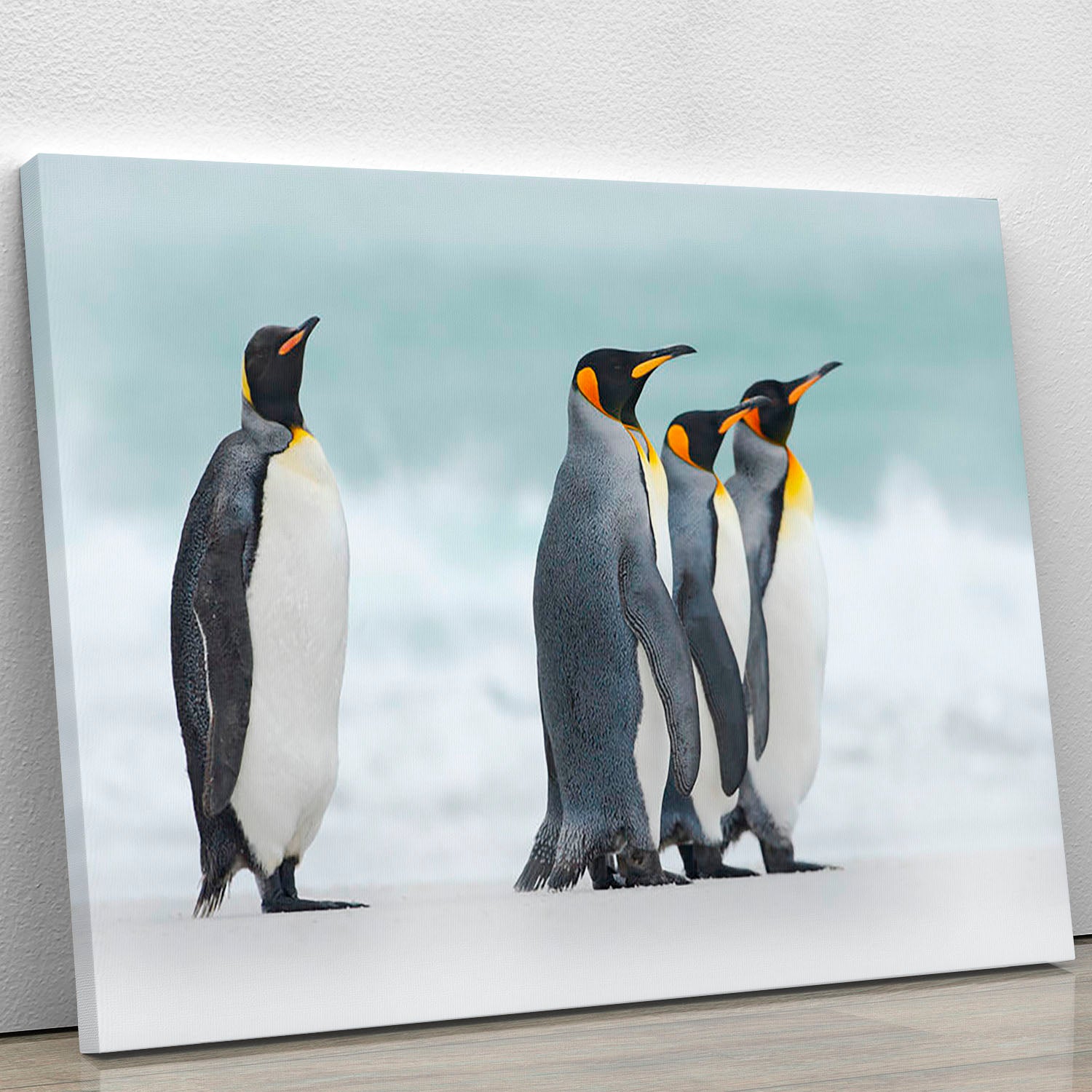 Group of four King penguins Canvas Print or Poster - Canvas Art Rocks - 1