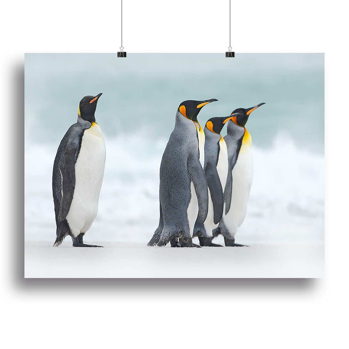 Group of four King penguins Canvas Print or Poster - Canvas Art Rocks - 2