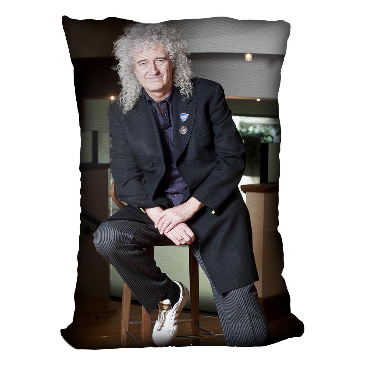 Guitarist Brian May of Queen Cushion