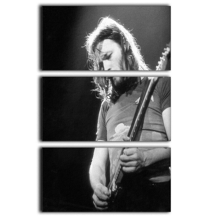 Guitarist David Gilmour 3 Split Panel Canvas Print - Canvas Art Rocks - 1