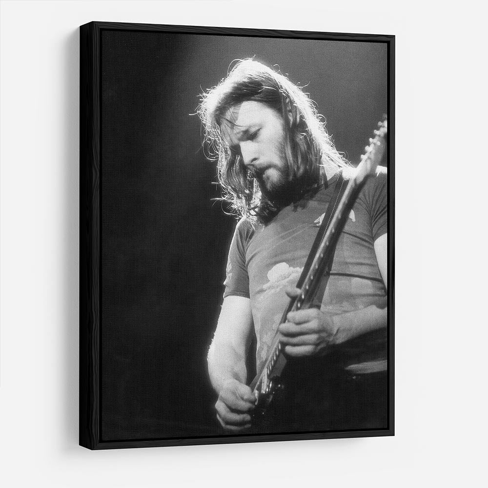 Guitarist David Gilmour HD Metal Print