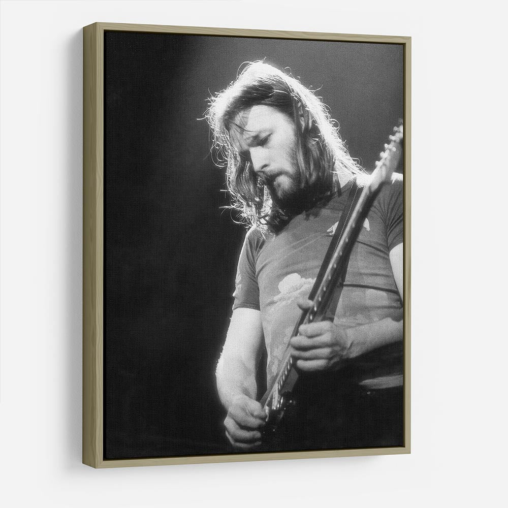 Guitarist David Gilmour HD Metal Print