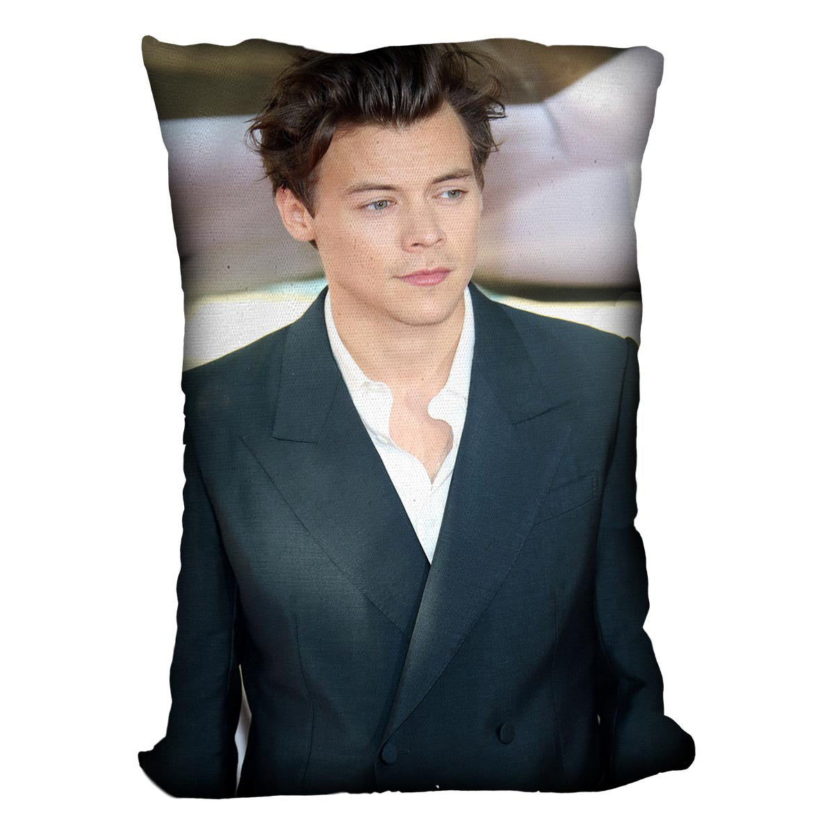 Harry Styles from One Direction Cushion