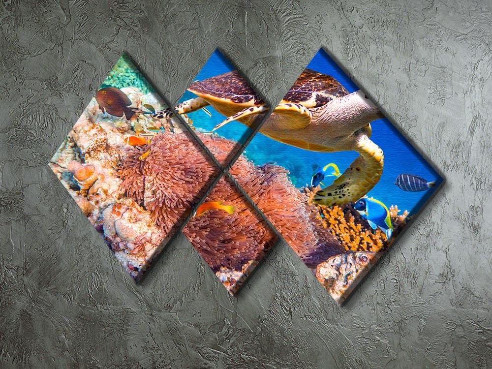Hawksbill Turtle 4 Square Multi Panel Canvas  - Canvas Art Rocks - 2