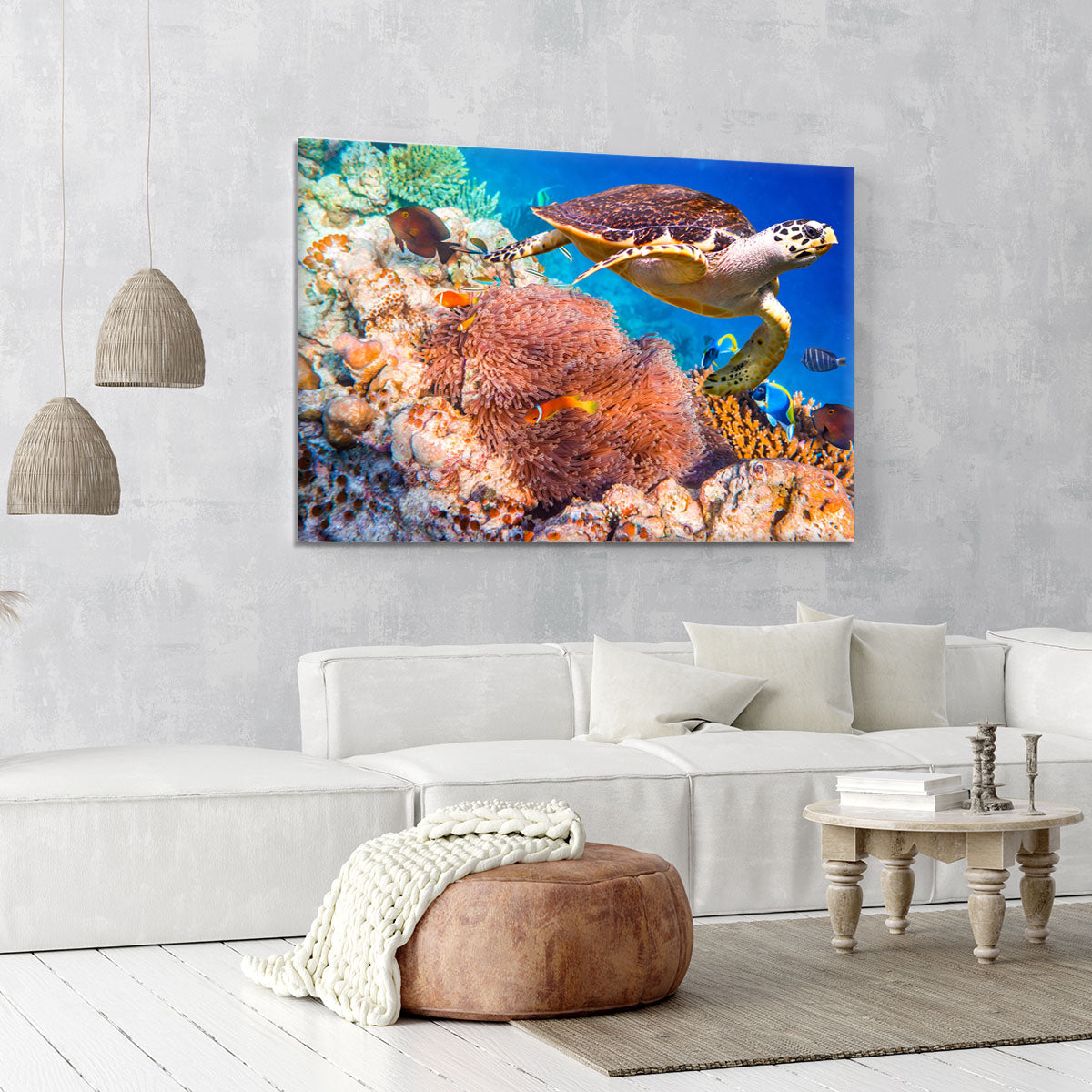 Hawksbill Turtle Canvas Print or Poster - Canvas Art Rocks - 6