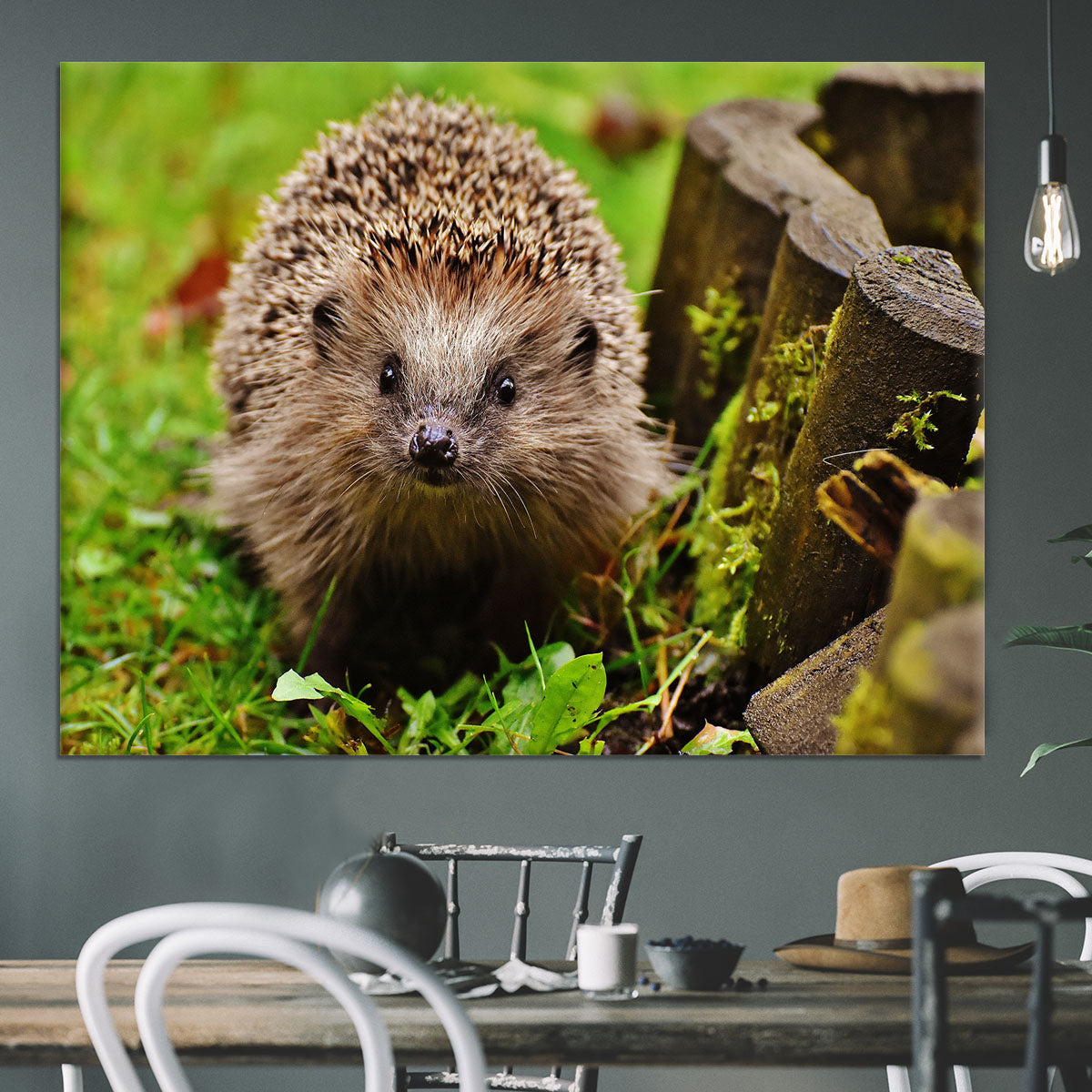 Hedgehog Canvas Print or Poster - Canvas Art Rocks - 3