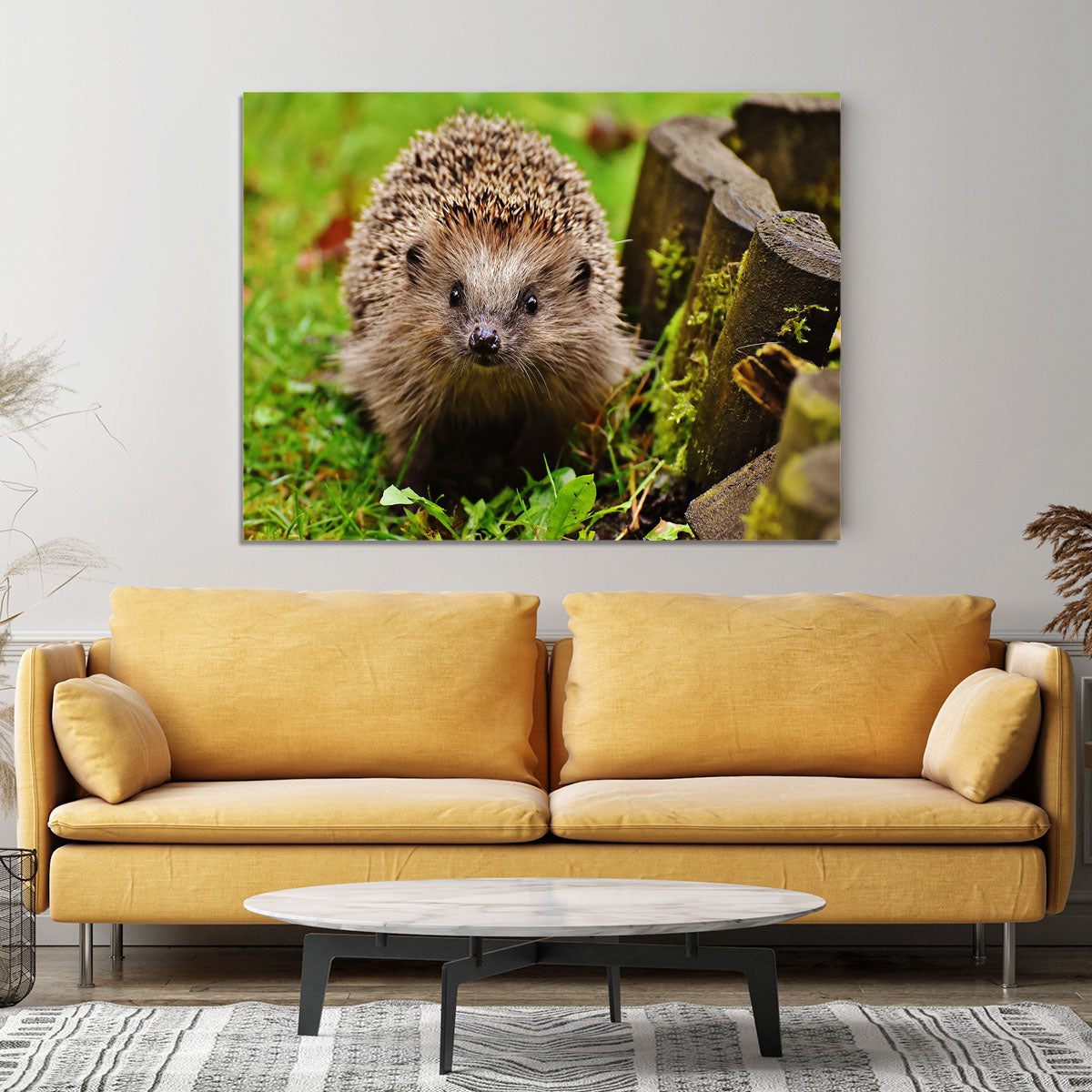 Hedgehog Canvas Print or Poster - Canvas Art Rocks - 4
