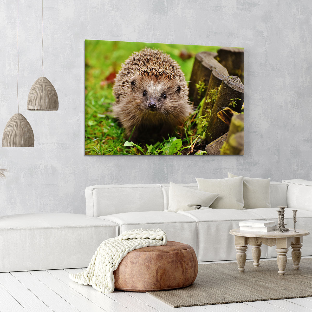 Hedgehog Canvas Print or Poster - Canvas Art Rocks - 6